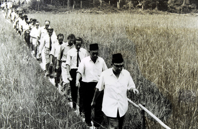 The late Tun Abdul Razak Hussein (then Deputy Prime Minister) walking through the paddy fields while visiting Kampung Sengkala, Raub, Pahang on 17 August 1961. — Bernama pic