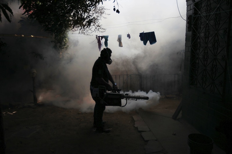 A health worker fumigates the Altos del Cerro neighbourhood as part of preventive measures against the Zika virus and other mosquito-borne diseases in Soyapango, El Salvador January 21, 2016. u00e2u20acu201d Reuters pic