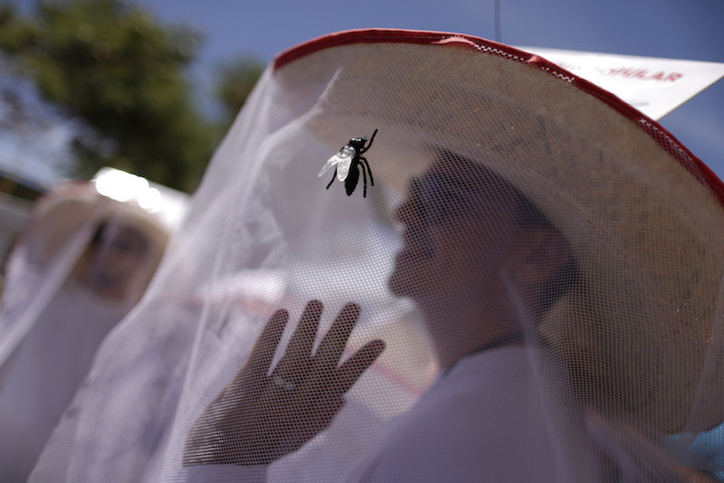 A reveller wears a mosquito net hat, as a costume, during an annual block party, one of the many carnival parties taking place in the neighbourhood of Olinda, Brazil February 7, 2016. u00e2u20acu201d Reuters pic