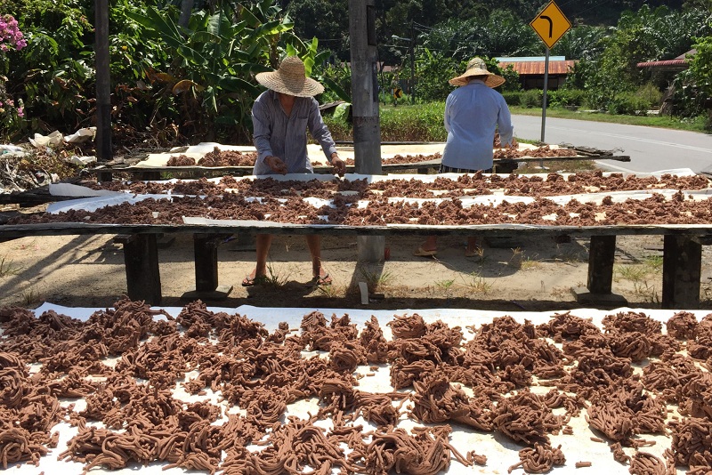 Workers drying belacan (shrimp paste) under the hot sun at their factory in Balik Pulau, Penang on February 1, 2016. u00e2u20acu201d Picture by KE Ooi