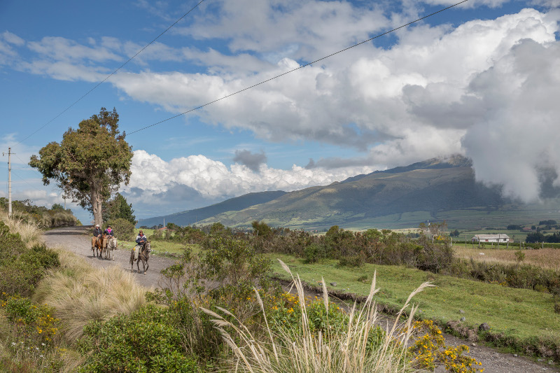 A horseback ride from Hacienda el Porvenir toward a view of the Cotopaxi Volcano in Ecuador, Jan. 2016.  u00e2u20acu201d Tony Cenicola/The New York Times pic