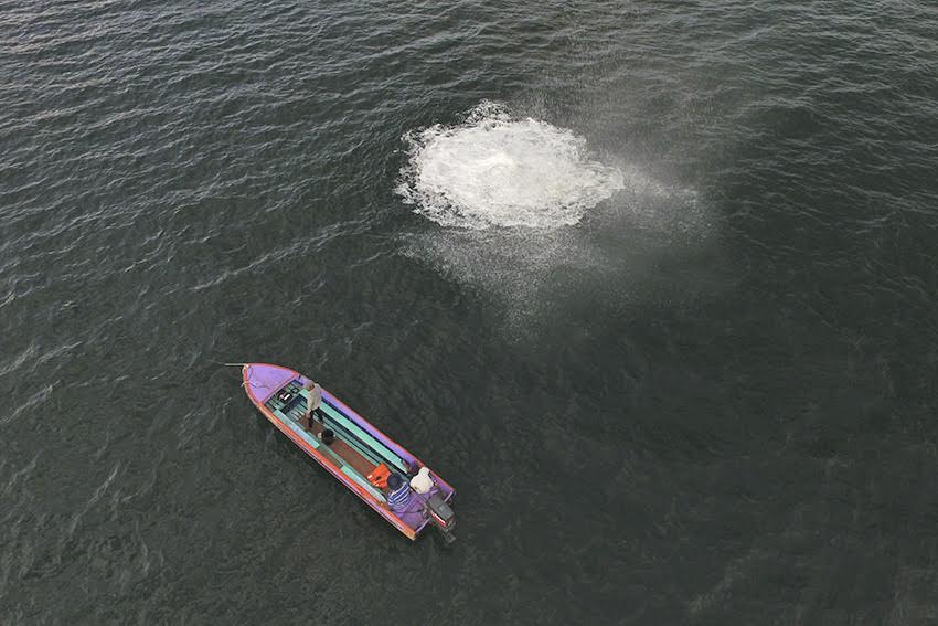 New technology is being developed that can detect underwater bomb blasts in real time to help eradicate fish bombing activities that have been plaguing conservation efforts in the state, hurting the tourism industry. u00e2u20acu201d Picture courtesy of courtesy of ww