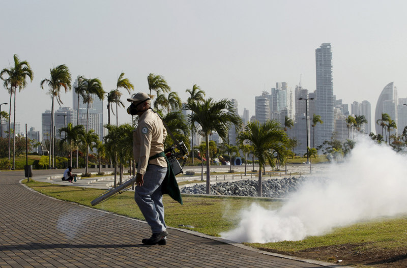 File picture shows a health worker carries out fumigation as part of preventive measures against the Zika virus and other mosquito-borne diseases at the seafront in Panama City, February 2, 2016. u00e2u20acu201d Reuters pic