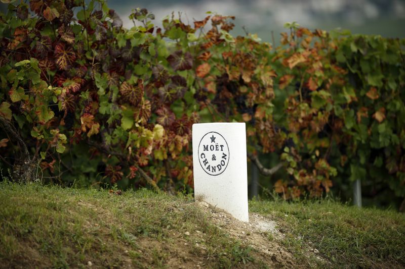 A stone marker shows the logo of the Moet & Chandon Champagne house in Hautvillers, eastern France during the traditional Champagne wine harvest in this October 8, 2013 file photo.u00e2u20acu201d Reuters pic