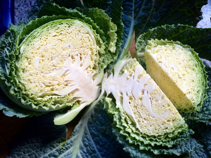 Savoy cabbage, a winter vegetable, is a milder and sweeter alternative to green and red cabbage varieties. u00e2u20acu2022 Picture by Clarissa Hyman/Zester Daily
