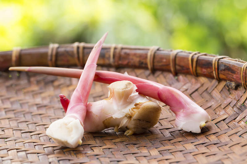 Galangal is more commonly known as lengkuas in Malaysia. u00e2u20acu201dHandout via Reutersn