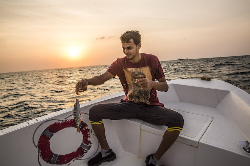 Mohammad Saigal, one of the few working tourist guides on the Island, reels in a fish caught by hand-laid line off of Farasan Island, March 7, 2016. — Picture by Bryan Denton/The New York Times