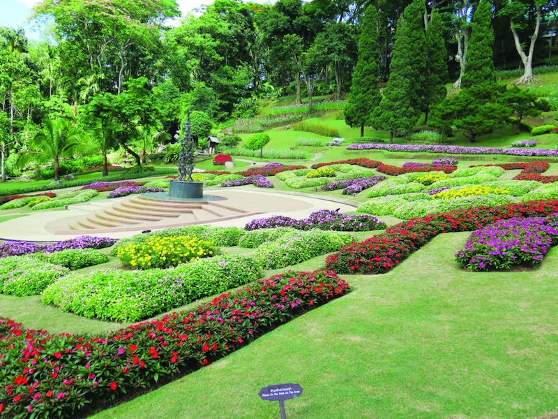 Thais don’t have to fly to other countries to enjoy temperate blooms with the Botanical Gardens in Chiang Rai. — TODAY pic