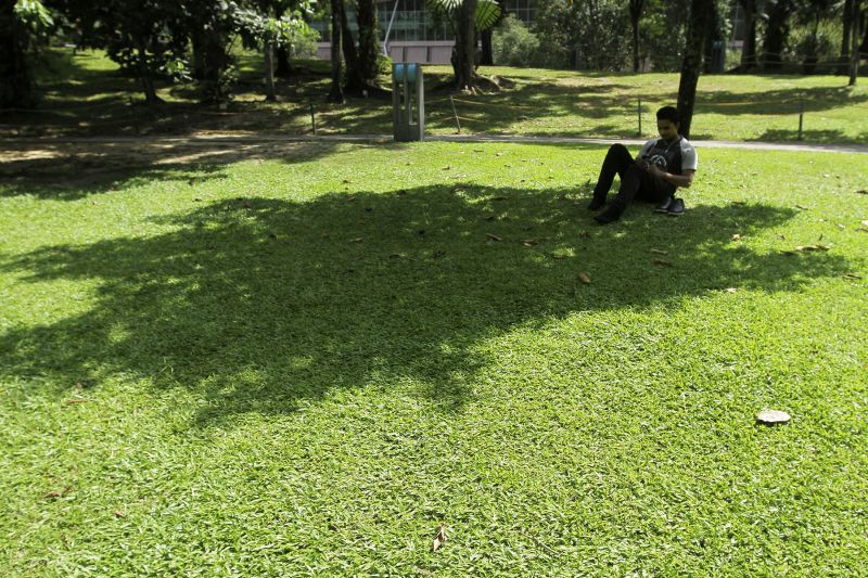 A man checks his phone in the shade on a hot day at KLCC Park in Kuala Lumpur, March 30, 2016. u00e2u20acu2022 Picture by Yusof Mat Isa