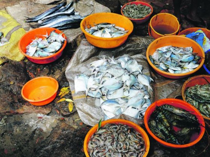 The freshest seafood is always available in Kerala.