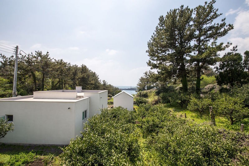 Set in a remote part of Jeju island surrounded by the woods, this retreat is the Airbnb listing for a quiet reflection. — Handout via TODAY