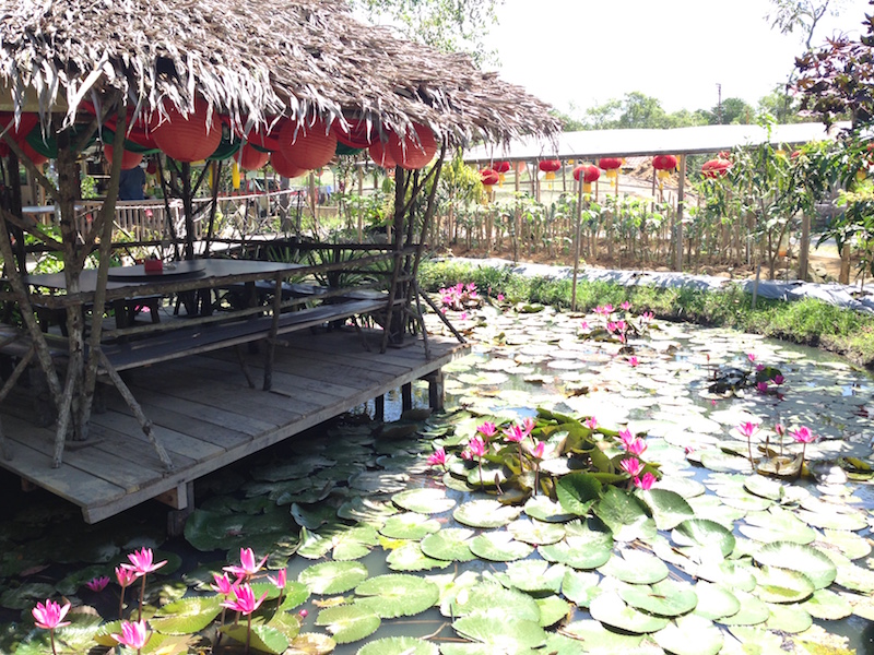 The ambience at Signal Hill Eco Farm is charmingly rustic and scenic, and visitors are free to roam the farm. — Picture by Julia Chan