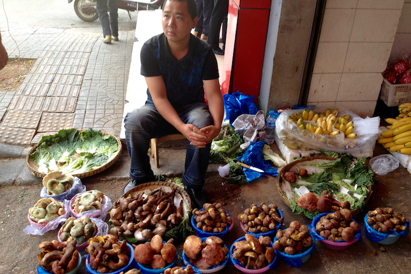 Yunnan is well-known for its mushrooms. Try them at one of the city’s mushroom hotpot restaurants. — Picture by Georgia Freedman/Zester Daily via Reuters