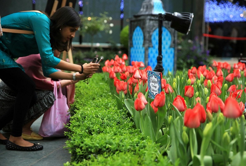 Tulipmania Rediscovered at Gardens By The Bay in Singapore. u00e2u20acu201d TODAY pic