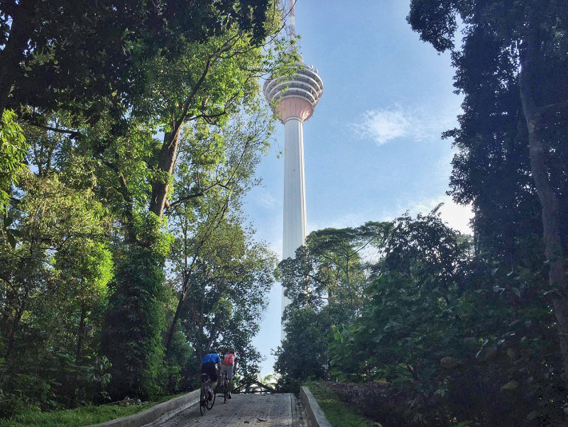 Two men are seen cycling at the Bukit Nanas Forest Reserve on April 14, 2016. u00e2u20acu201d Picture by Saw Siow Feng