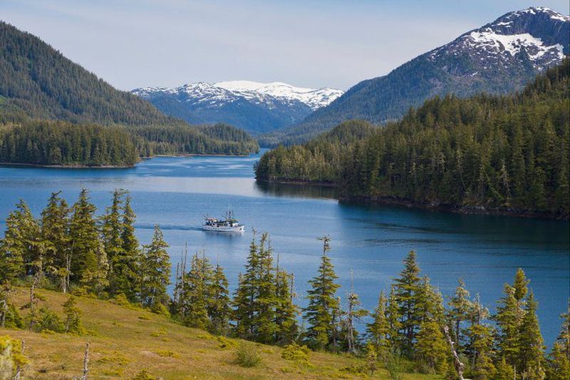In an undated handout photo, the M/V Discovery, a working yacht, tours Prince William Sound. — Picture courtesy of Hugh Rose via The New York Times