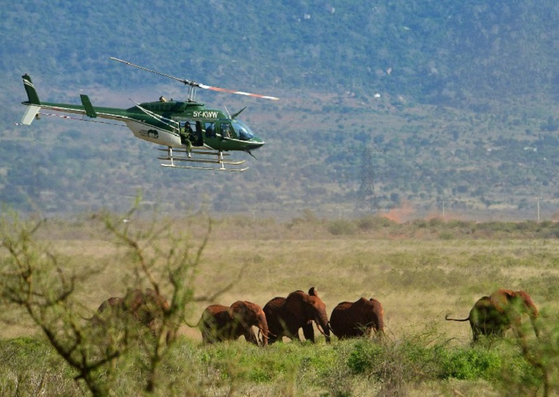 This file photo shows a Kenya Wildlife Services veterinary preparing to dart an elephant from a helicopter to set him a newly fitted collar at the Tsavo east national park, March 16, 2016. u00e2u20acu201d AFP pic     