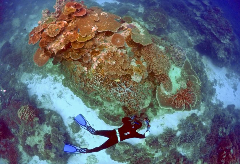 Oliver Lanyon, Senior Ranger in the Great Barrier Reef region for the Queensland Parks and Wildlife Service, takes photographs and notes during an inspection of the reefu00e2u20acu2122s condition in this picture released April 20, 2015. u00e2u20acu201d Reuters pic