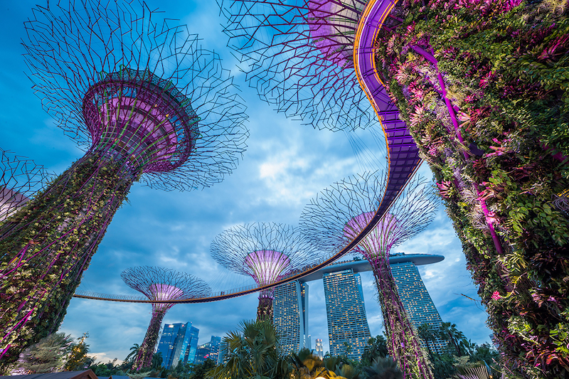 Gardens by The Bay is perfect for those who wish to escape the hustle and bustle of the city for a while and retreat to vibrant botanical surroundings. — Shutterstock pic