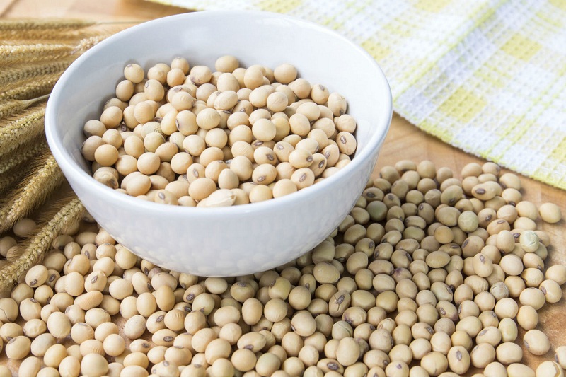Natto ingredients: soybeans and a starter culture. — Picture by Horillaz/iStock 