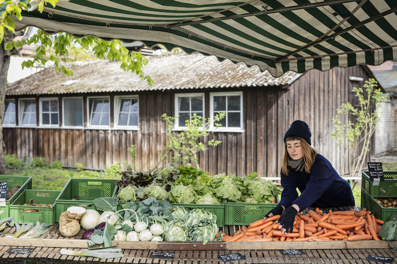 The market at the Domaene Dahlem, a working organic farm in the Dahlem neighbourhood of Berlin April 21, 2016. The Saturday morning market, which sells cheeses, local honey and fresh produce, draws hundreds to the farm’s main courtyard; spinning, weaving and pottery demonstrations take place in a restored1560 manor house during seasonal festivals. — Picture by Andreas Meichsner/The New York Times