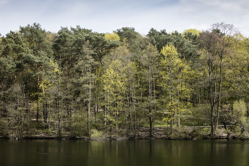Krumme Lanke, one of two swimmable lakes inside the Grunewald wilderness on the outskirts of Berlin April 23, 2016. Wild boar still dwell deep in the forests, which were once royal hunting grounds, and on fine weekends, a restaurant between the lakes is filled with Berliners enjoying the fresh air. — Picture by Andreas Meichsner/The New York Times