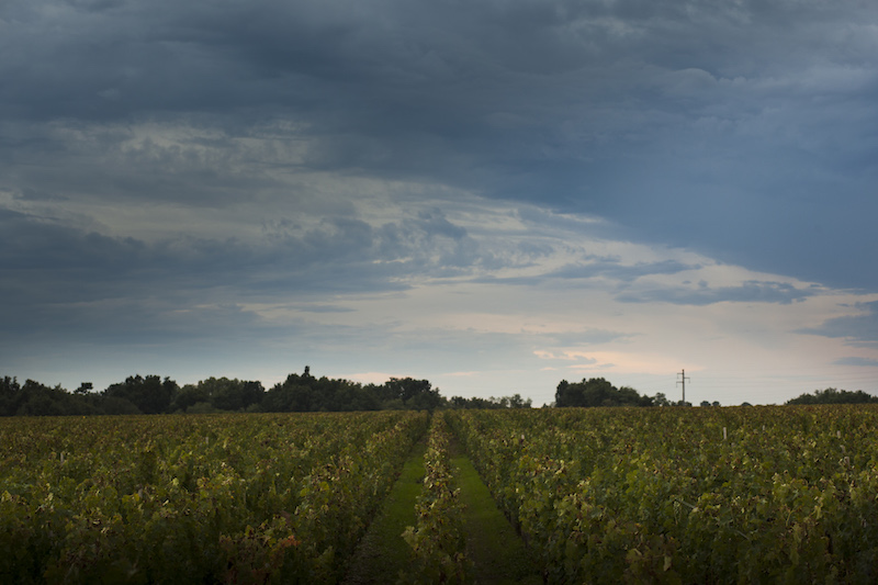 A wine estate in Bordeaux, France, October 2015. u00e2u20acu201d Picture by Alex Cretey-Systermans/The New York Times