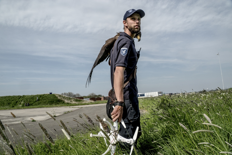 An eagle and its handler from Guard From Above, a security company training eagles to intercept drones, during training in Katwijk, Netherlands, May 10, 2016.