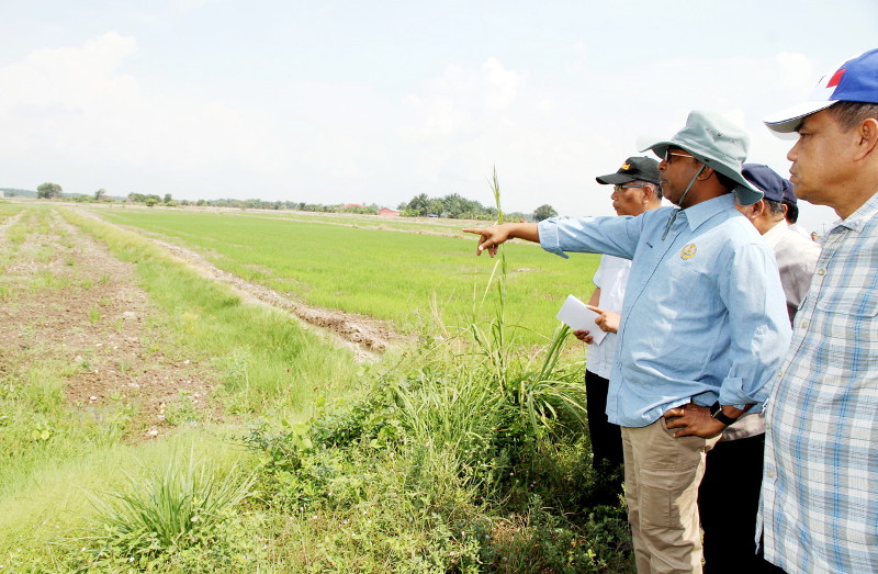 Perak Menteri Besar Datuk Seri Dr Zambry Abdul Kadir (right) visiting the surrounding rice fields affected by low water supply in Tebuk Panchur, Bukit Merah, May 2, 2016. u00e2u20acu201d Bernama pic
