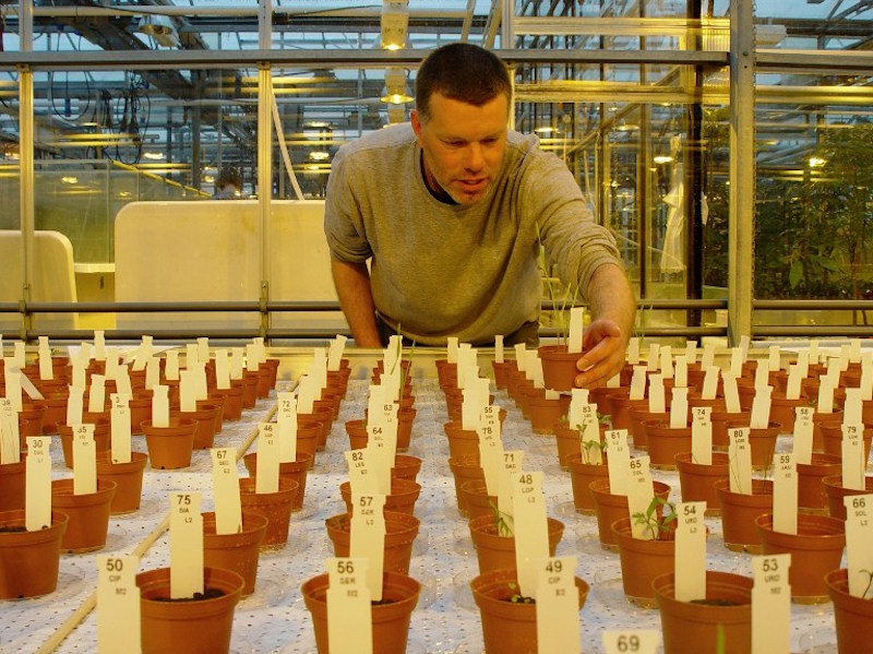 Researcher Wieger Wamelink inspects the plants grown on Mars and moon soil simulant in a research facility at the university in Wageningen, The Netherlands May 6, 2016. u00e2u20acu201d Handout via AFP