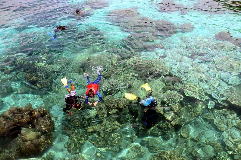 Tourists snorkel in the waters of Pulau Payar in Langkawi. Pulau Payar is one of three marine parks popular with tourists, the other two being in Terengganu and Pahang. u00e2u20acu201d Bernama pic 