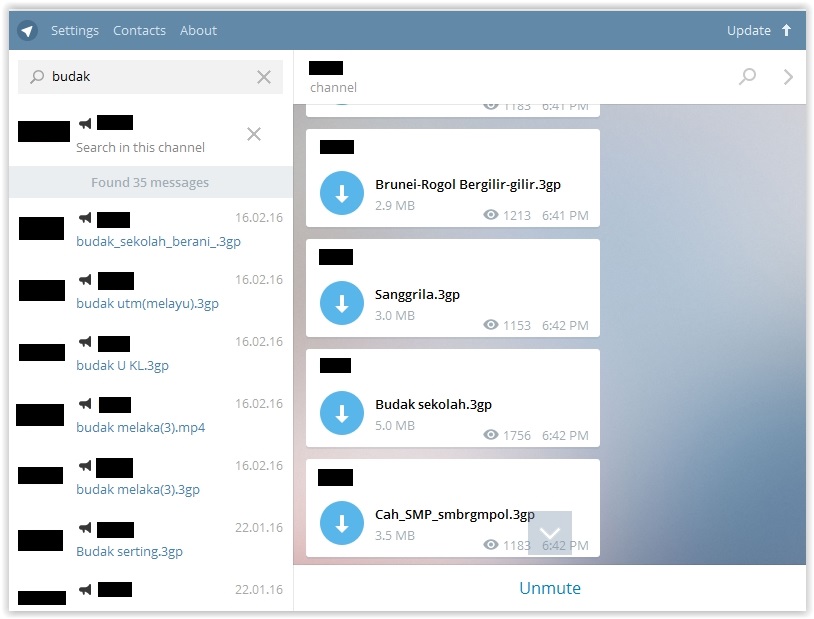 Screen capture of searches in local porn groups and channels on Telegram. The names of the group/ channel are redacted.