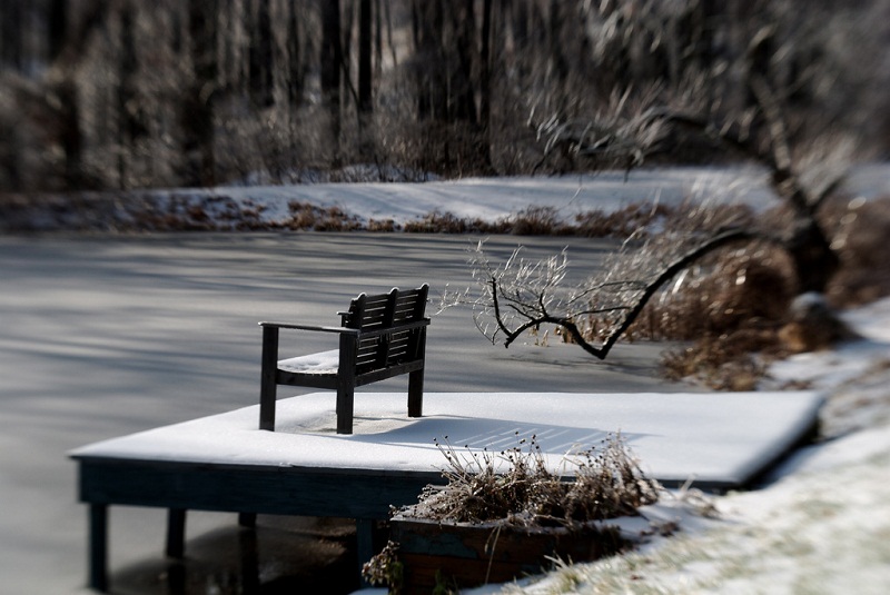 Robert McCammonu00e2u20acu2122s chilling horror novel, Boyu00e2u20acu2122s Life, explores the unravelling of a boyu00e2u20acu2122s childhood when he falls under the shadow of a heinous murder. u00e2u20acu201d Picture by Otto Phokus / Flickr