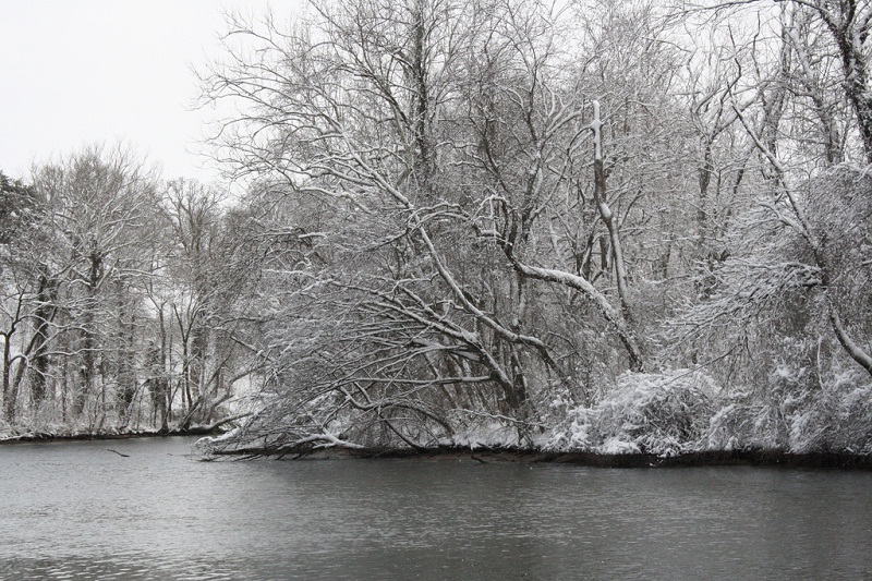 In Robert McCammon’s novel, Boy’s Life, A father and his son are drawn into a murder case that will alter the course of one of their lives forever. — Picture by Angie Garrett /Flickr 