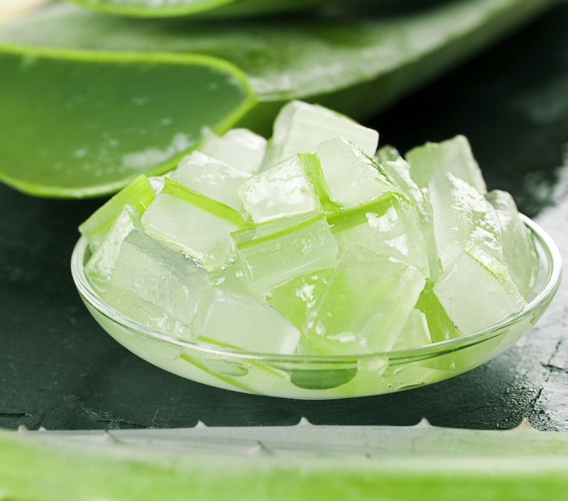Aloe verau00e2u20acu2122s natural clear gel has long been used medicinally as a skin cure for wounds. u00e2u20acu201d IStock.com pic