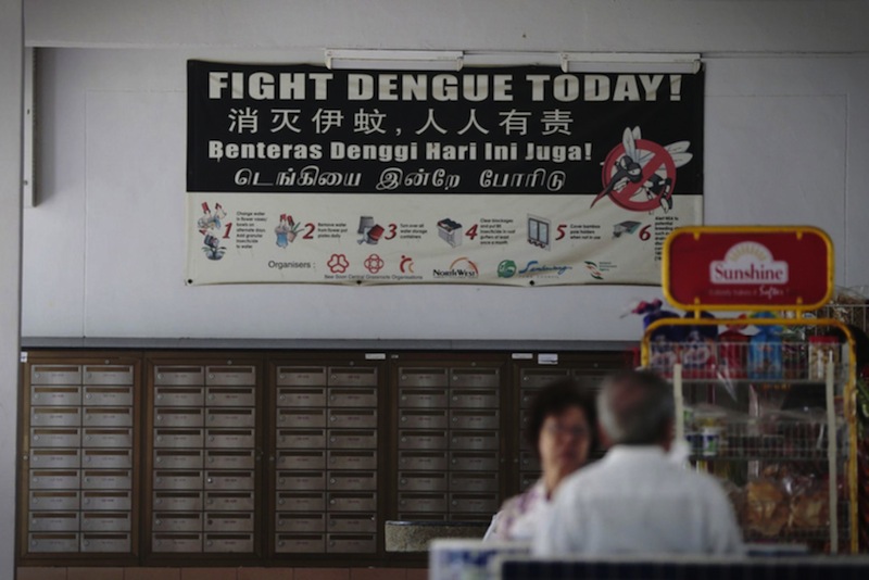 Signboards warning against dengue fever pictured at Yishun on Jan 29, 2016. u00e2u20acu201du00c2u00a0TODAY pic