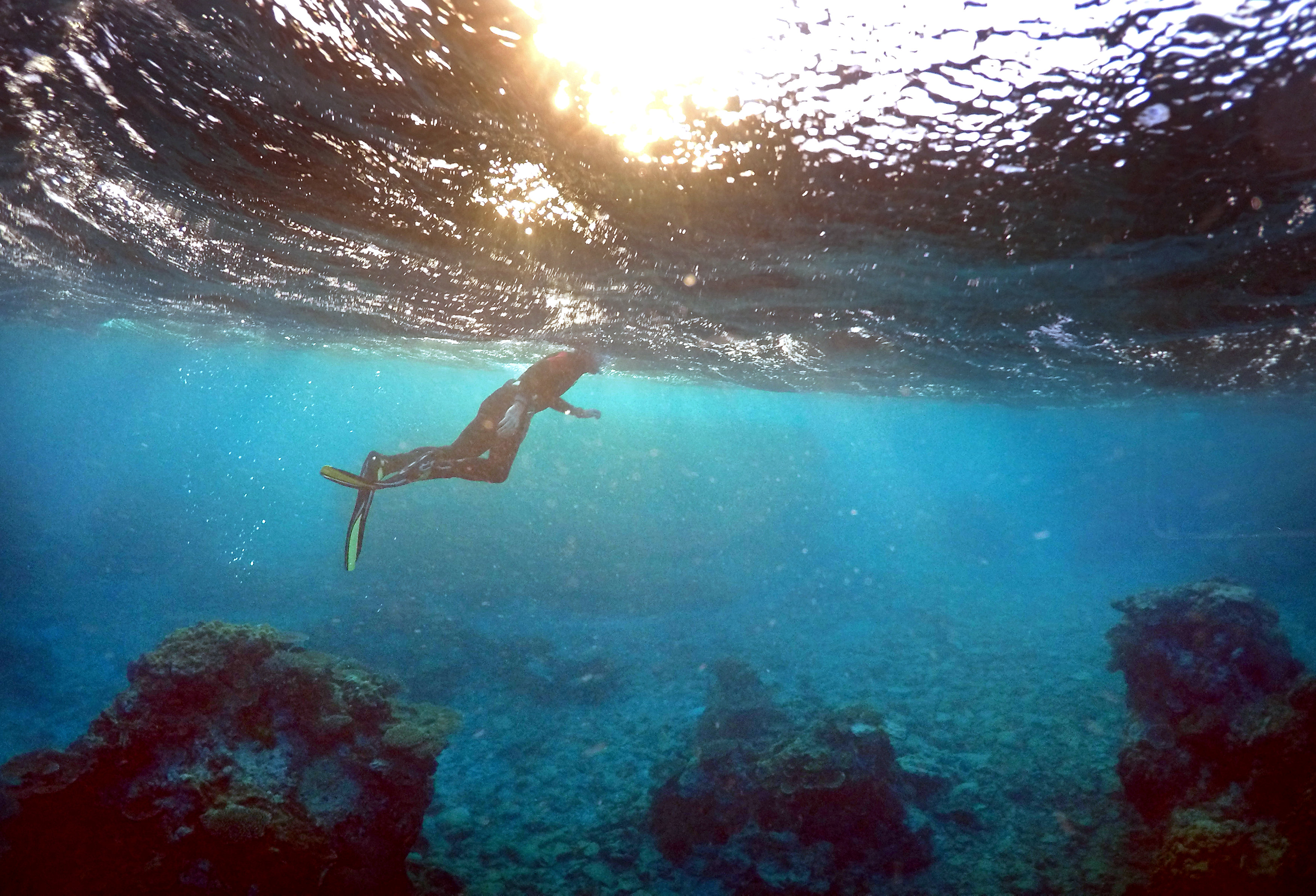 A man snorkels in an area called the 'Coral Gardens' near Lady Elliot Island, on the Great Barrier Reef, northeast of Bundaberg town in Queensland June 11, 2015. u00e2u20acu201d Reuters picn