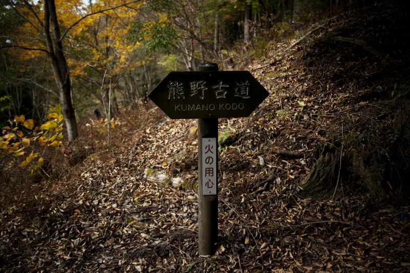 A signpost along the Kumano Kodo, a religious pilgrimage trail on Japan’s Kii peninsula, November 12, 2015. — New York Times picture