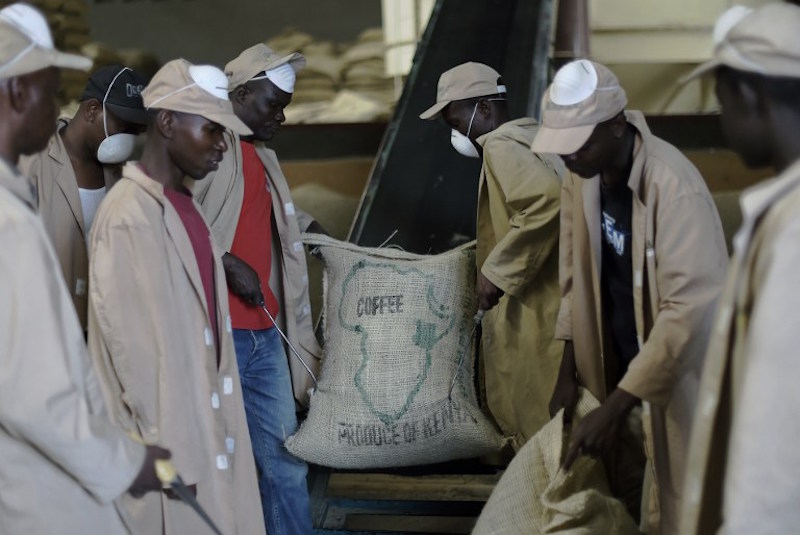Workers stack and store sacks of green, unroasted coffee beans from a conveyor belt at Dormans coffee factory in Nairobi January 11, 2016. u00e2u20acu201d AFP pic