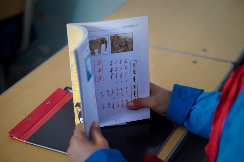 A student holds a book during a class at the Sanjiazi Manchu school in Sanjiazi village, Heilongjiang province, May 4, 2016. — AFP pic