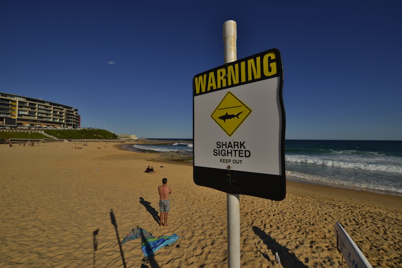 A shark warning sign is seen posted on the beach in the northern New South Wales city of Newcastle on January 17, 2015. u00e2u20acu201d AFP pic