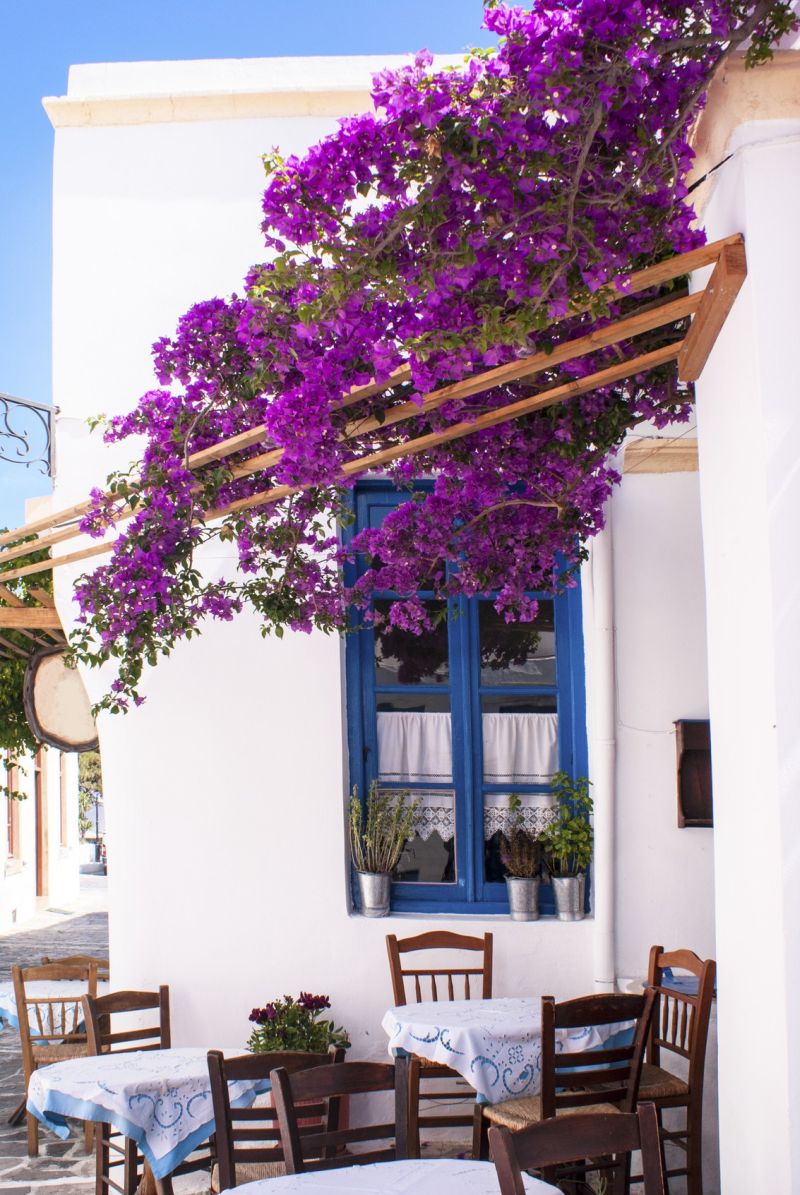 Sifnos' rich cuisine is marked with the flavours of its Eastern neighbours. — Picture courtesy of zoipapadimitriou/ Istock.com