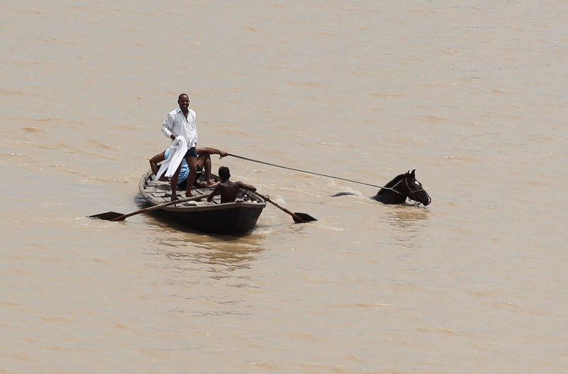 A man rows a boat as they pull out a horse from the flooded river Ganga in Allahabad, India, July 9, 2016. u00e2u20acu201d Reuters pic