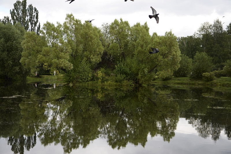 The 890-acre Moscow Botanical Gardens, July 15, 2016.