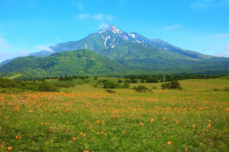 Mount Rishiriu00e2u20acu2122s steep volcanic ridges tower over a field of wildflowers off the coast of Hokkaido, Japan. u00e2u20acu201d Picture courtesy of Lonely Planet