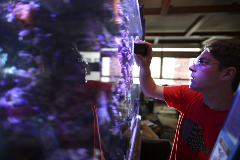 Jimmy Hoehlein, an aquarium service technician, tests water in an aquarium at a clientu00e2u20acu2122s home in New York, July 5, 2016. u00e2u20acu201d Picture by Chang W. Lee/The New York Times