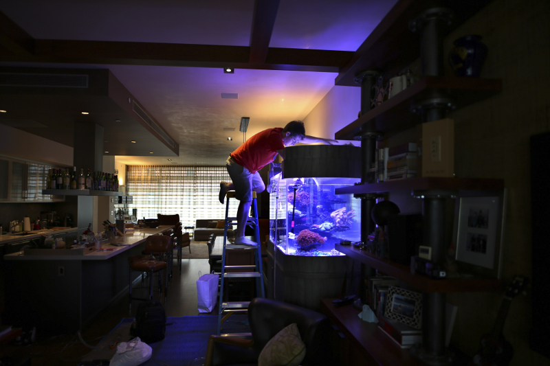 An aquarium service technician is part plumber, part veterinarian, and part ringmaster of a world where things aren’t meant to live in harmony.