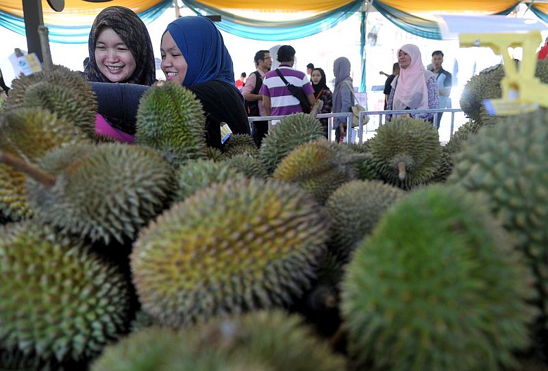 Dua pengunjung tidak melepaskan peluang memilih durian untuk dijamu selera pada majlis perasmian Fiesta Durian 2016 di Dataran Merdeka, hari ini. u00e2u20acu201d Foto Bernama