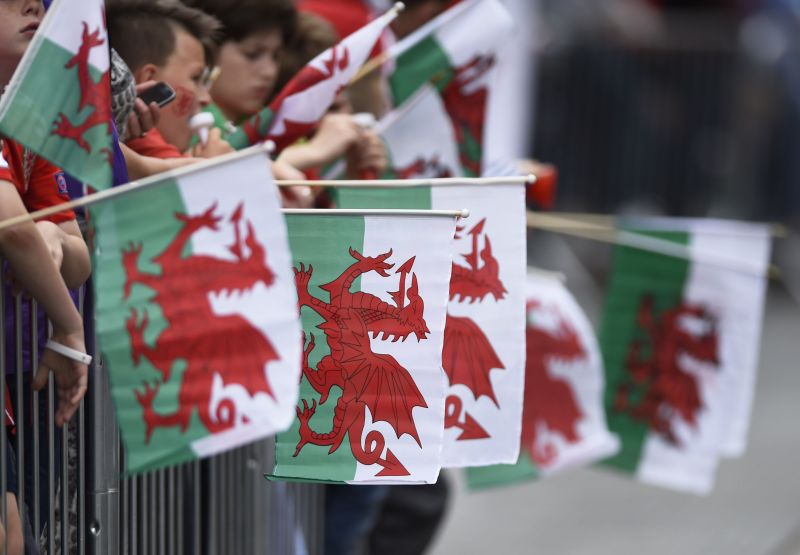 Wales - EURO 2016 Homecoming Celebrations - Cardiff, Wales - 8/7/16 Wales fans with flags Action Images via Reuters / Adam Holt Livepic. u00e2u20acu201d Reuters pic