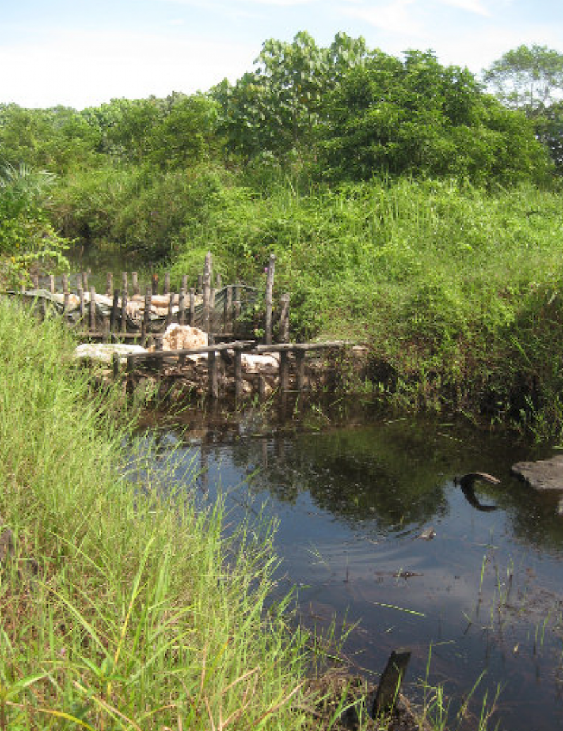 An example of a canal block in Raja Musa Forest Reserve in Selangor, which local volunteer group PM.Haze wants to help build, as part of efforts to prevent forest fires and pre-empt haze. u00e2u20acu201d Handout via TODAY